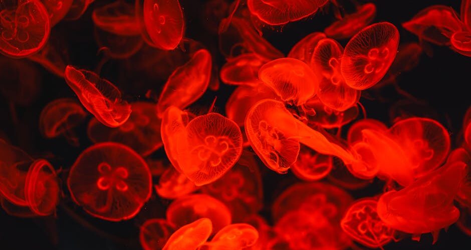 The Unseen World: Discovering the Hidden Wonders of Bioluminescent Wildlife in 2026