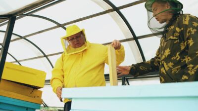 The 2026 Craze: Urban Beekeeping and Its Buzzing Benefits