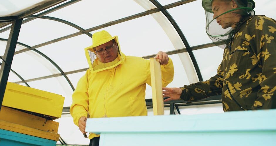 The 2026 Craze: Urban Beekeeping and Its Buzzing Benefits