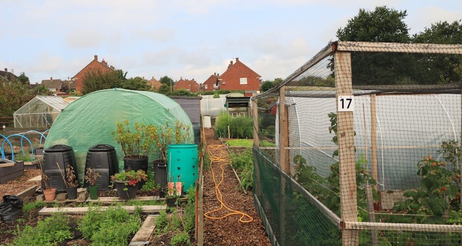 The Urban Greening Revolution: How Cities Are Blooming in 2026