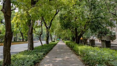 The Unseen Beauty of 2026: How Micro Parks are Transforming Urban Landscapes