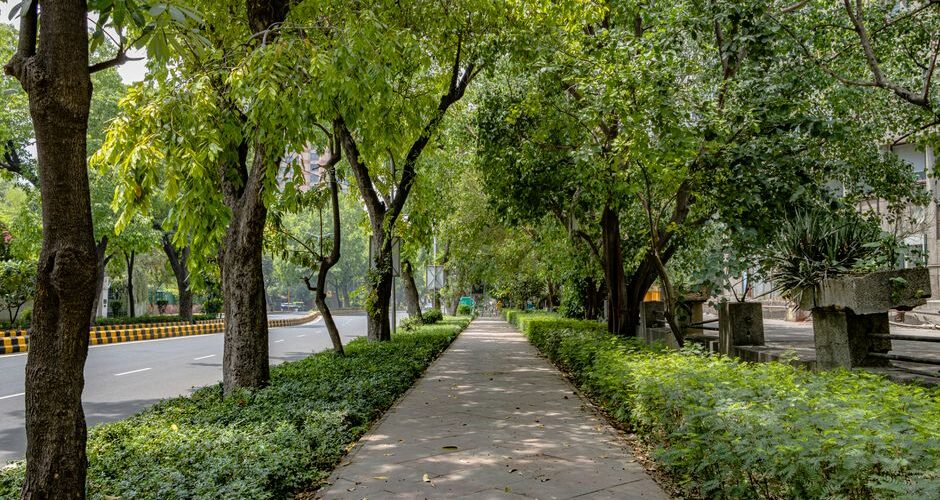 The Unseen Beauty of 2026: How Micro Parks are Transforming Urban Landscapes